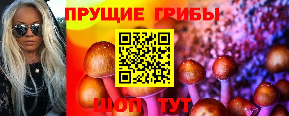 Сунжа  Псилоцибиновые грибы Cubensis  Псилоцибиновые грибы GOLDEN TEACHER  Вход с VPN 